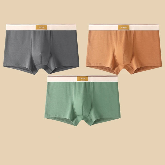 Men's Daily Comfortable Boxer