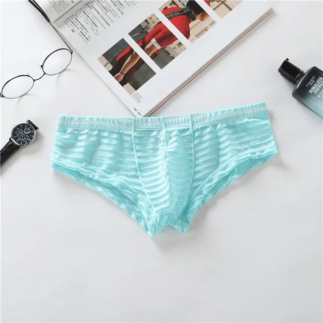 Low Waisted Quick Dry Transparent Brief