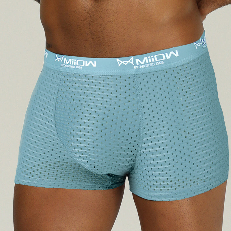 Mesh Breathable Polyester Boxer