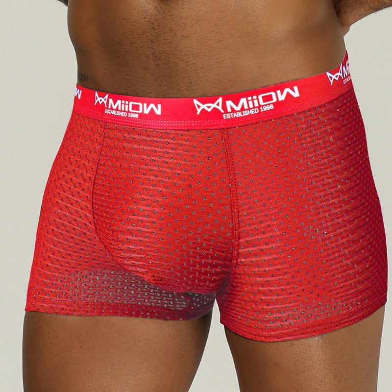 Mesh Breathable Polyester Boxer