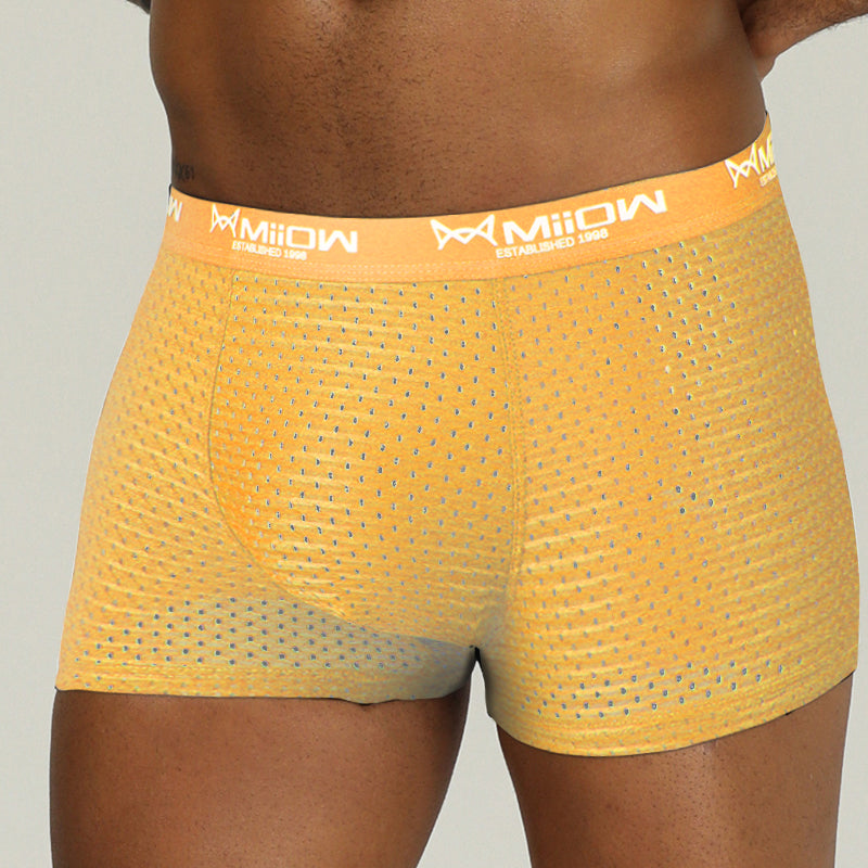 Mesh Breathable Polyester Boxer
