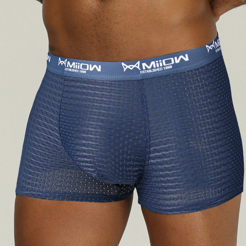 Mesh Breathable Polyester Boxer