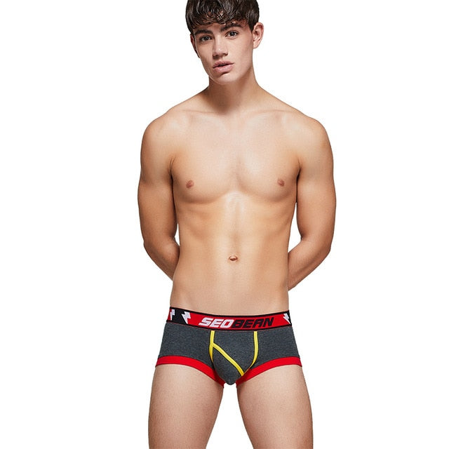 Boxer Homme Rayé Multicolore Solide