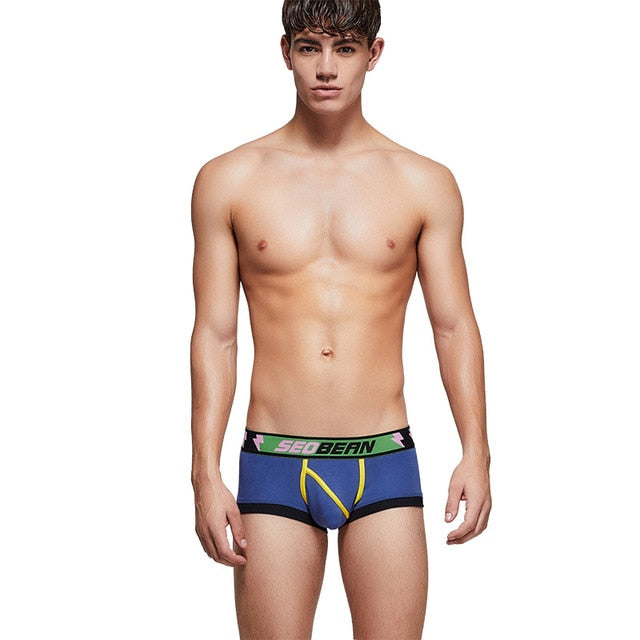 Boxer Homme Rayé Multicolore Solide