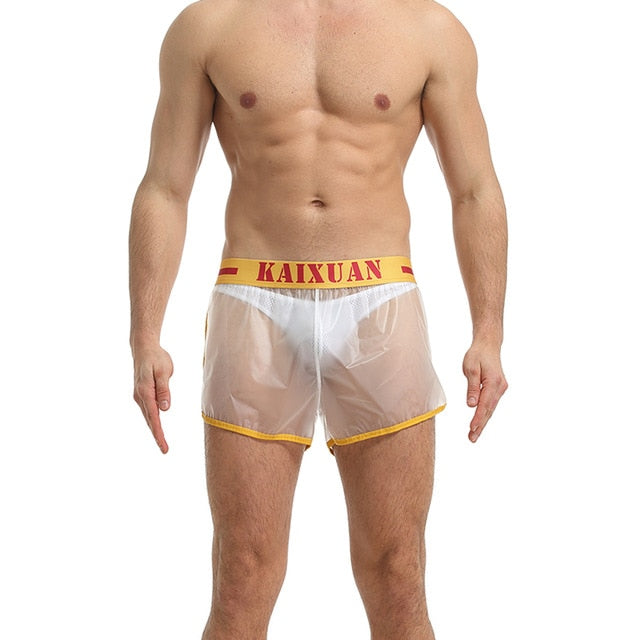 Short transparent style doublures unies