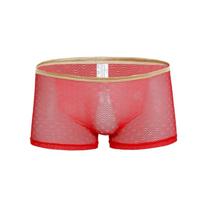 Solid See Through Lace Boxer