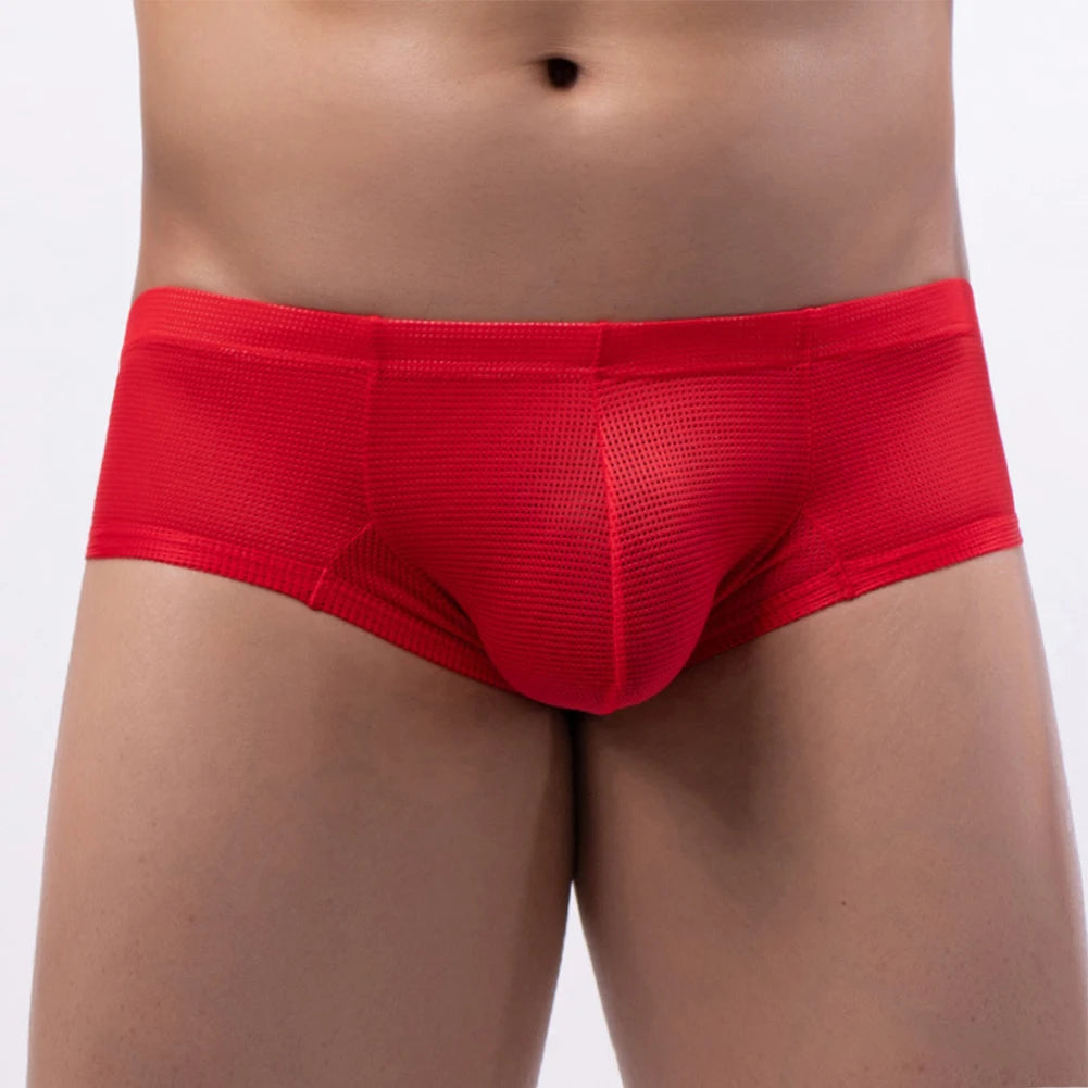 Sexy Low Waist U-Pouch Briefs
