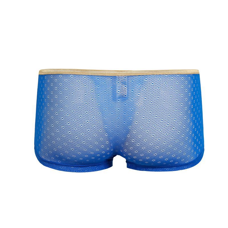 Solid Mesh Transparent Boxer – FanFreakz