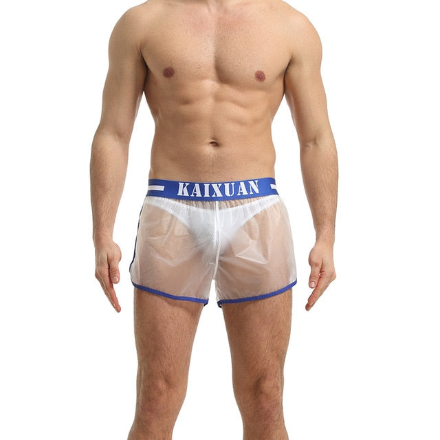 Transparent Solid Linings Style Shorts