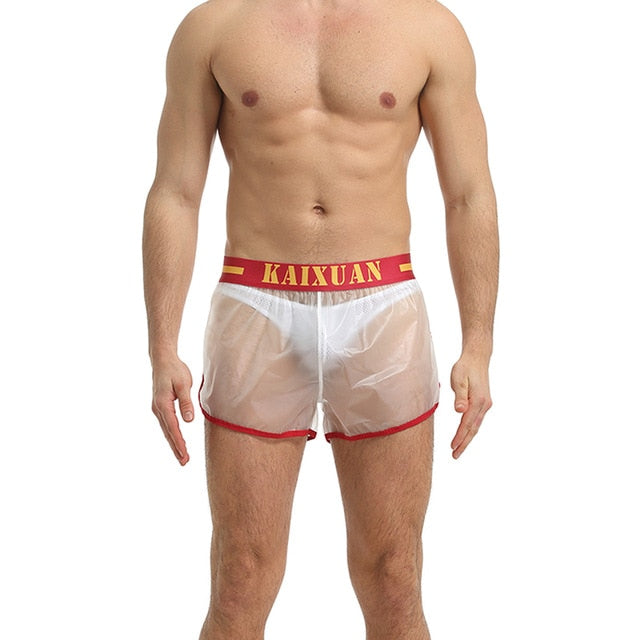 Transparent Solid Linings Style Shorts