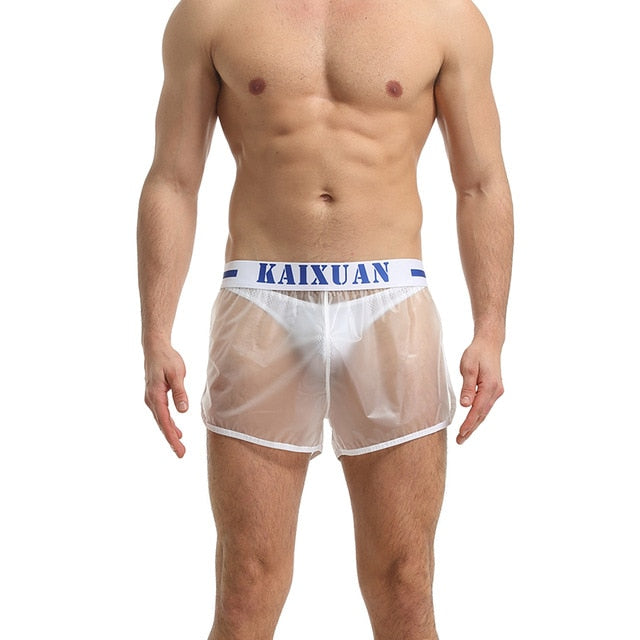 Transparent Solid Linings Style Shorts